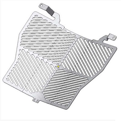 RG-Racing Protector acero para radiador moto BMW S1000XR