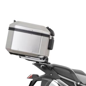 Soporte trasero Shad Triumph Tiger 900 20- y 850 Â· 2