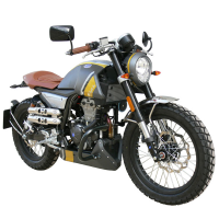 Defensa motor Mondial HPS 125